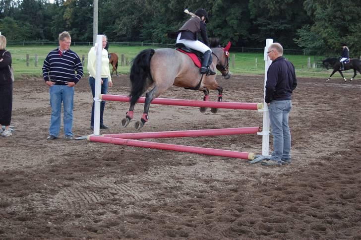 Bellinge rideklub - Stævne billede 36
