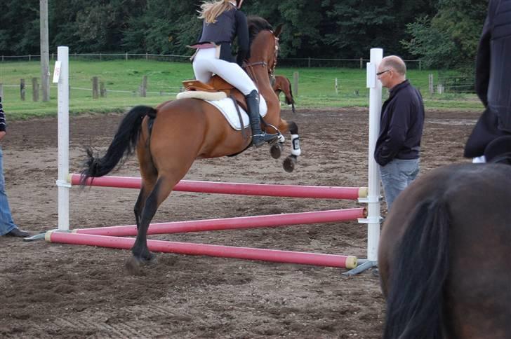 Bellinge rideklub - Stævne billede 37