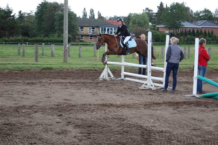 Bellinge rideklub - Stævne billede 38