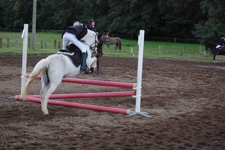 Bellinge rideklub - Stævne billede 39