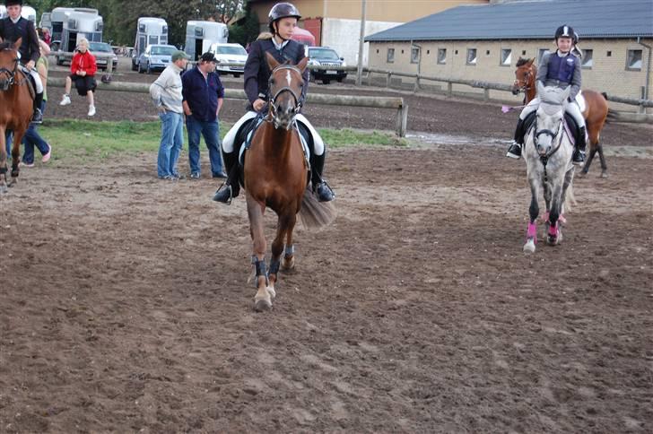 Bellinge rideklub - Stævne billede 40