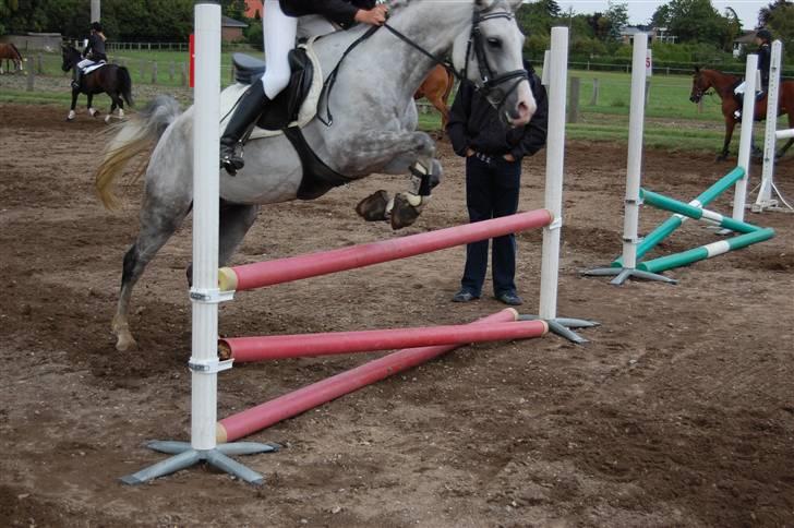 Bellinge rideklub - Stævne billede 41