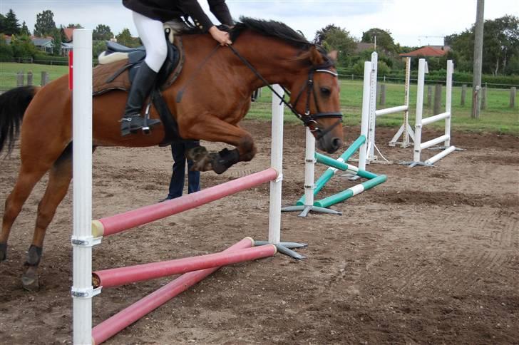 Bellinge rideklub - Stævne billede 42