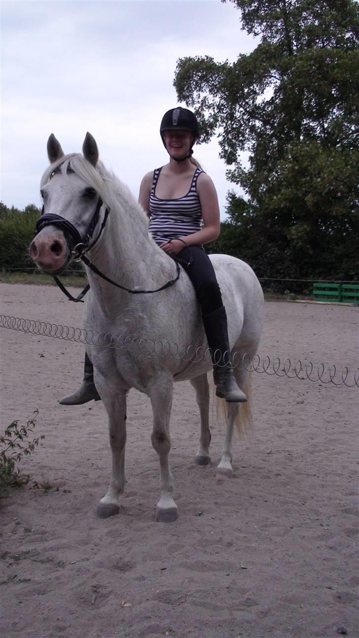 Træning med amiga på lyngby landbrugsskole billede 11
