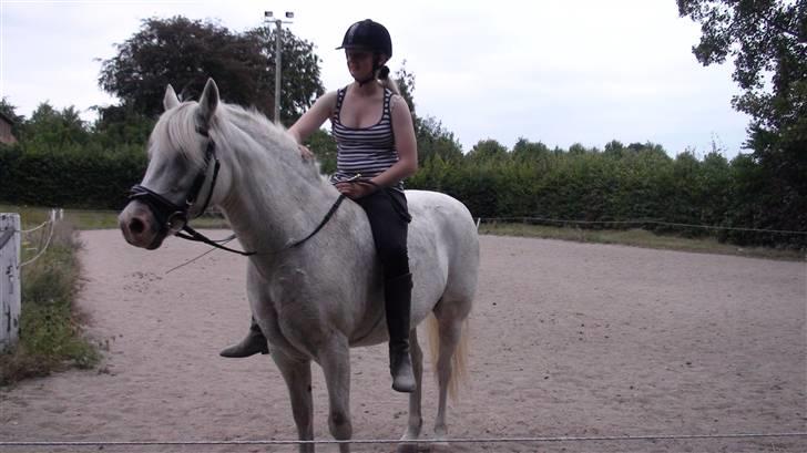 Træning med amiga på lyngby landbrugsskole billede 19