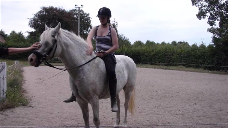 Træning med amiga på lyngby landbrugsskole billede 20