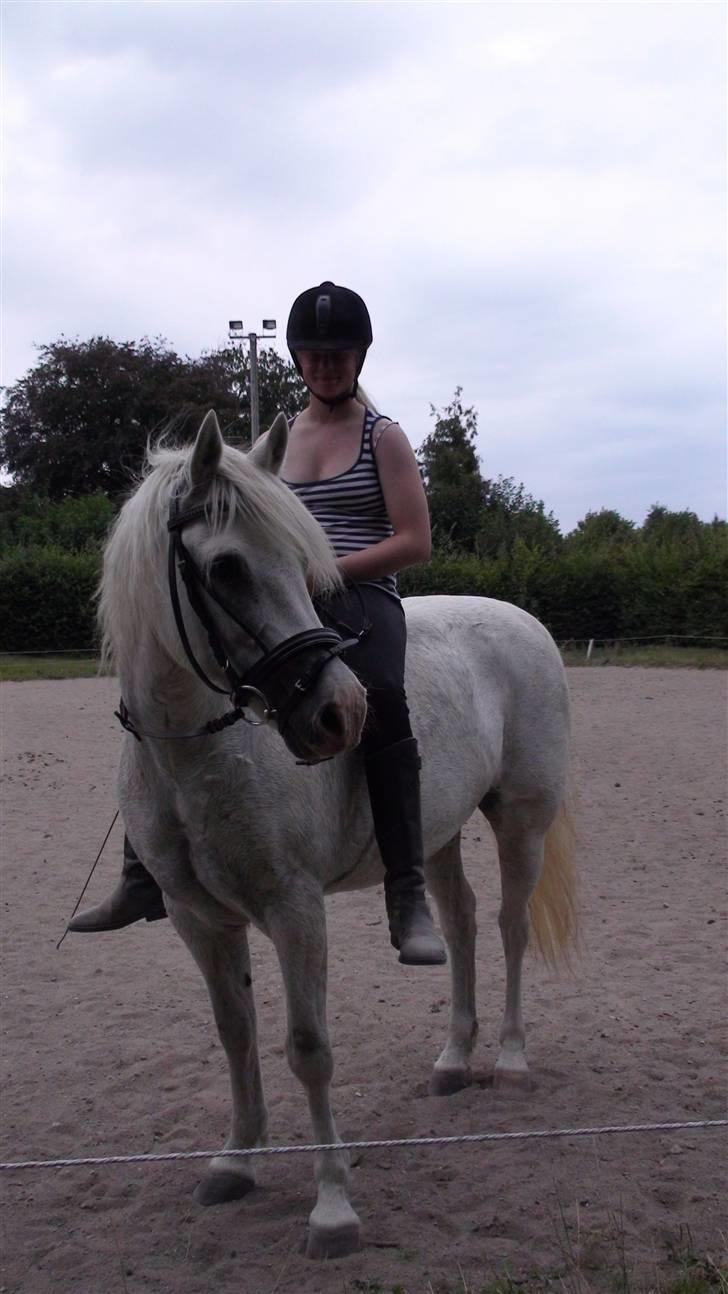 Træning med amiga på lyngby landbrugsskole billede 22