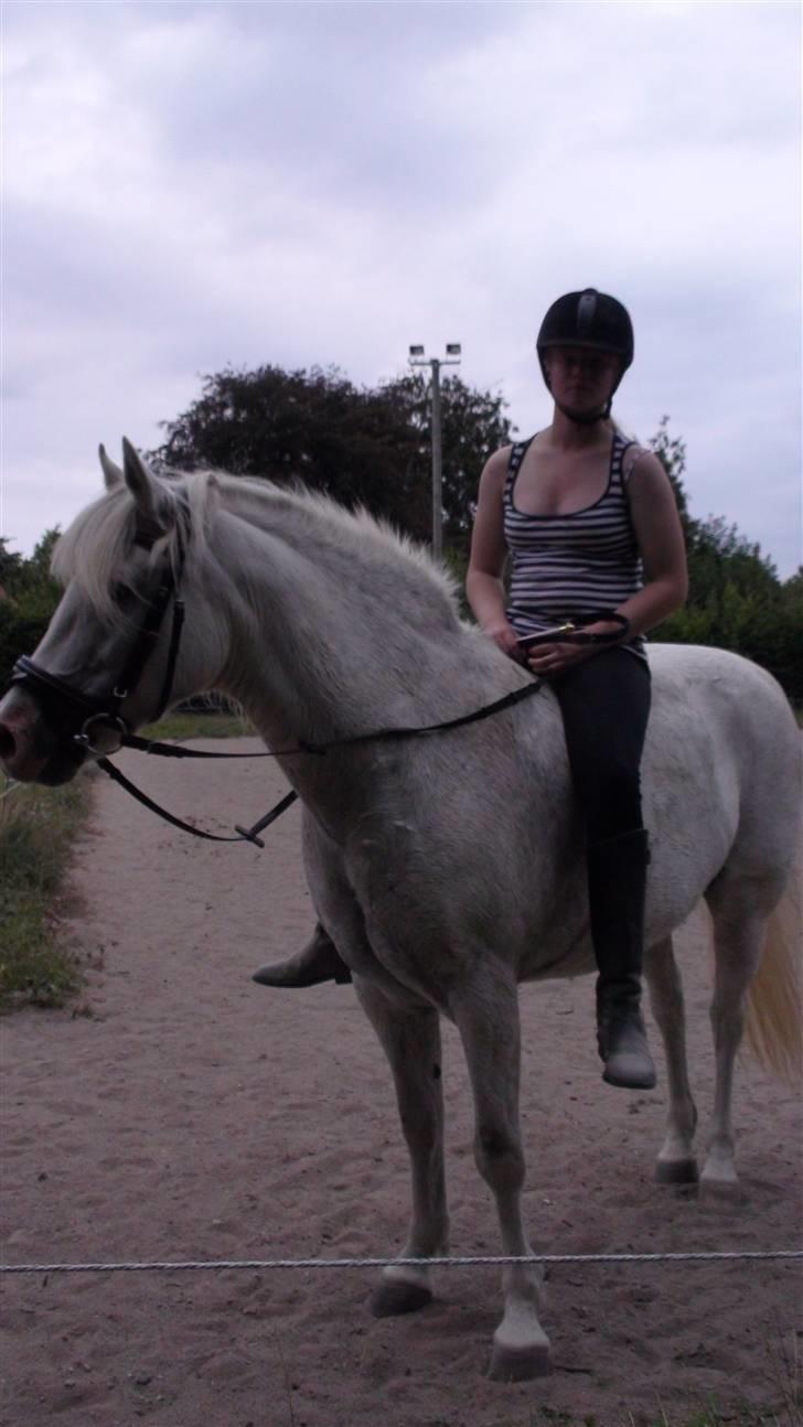 Træning med amiga på lyngby landbrugsskole billede 25