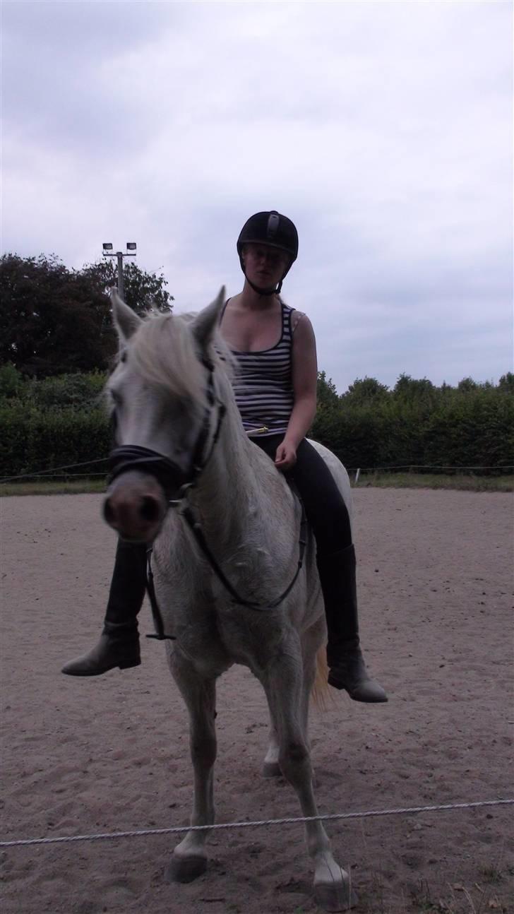 Træning med amiga på lyngby landbrugsskole billede 26