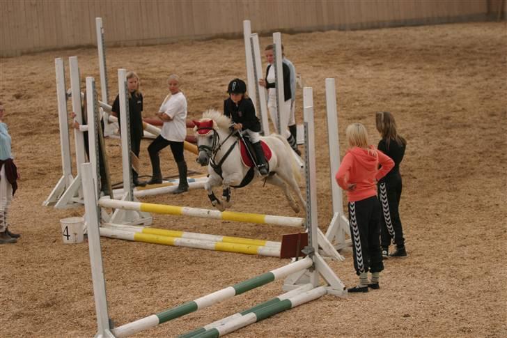 Lucky - Stævne NMRC aug. 2009
LE Spring, som vi vandt !! billede 14