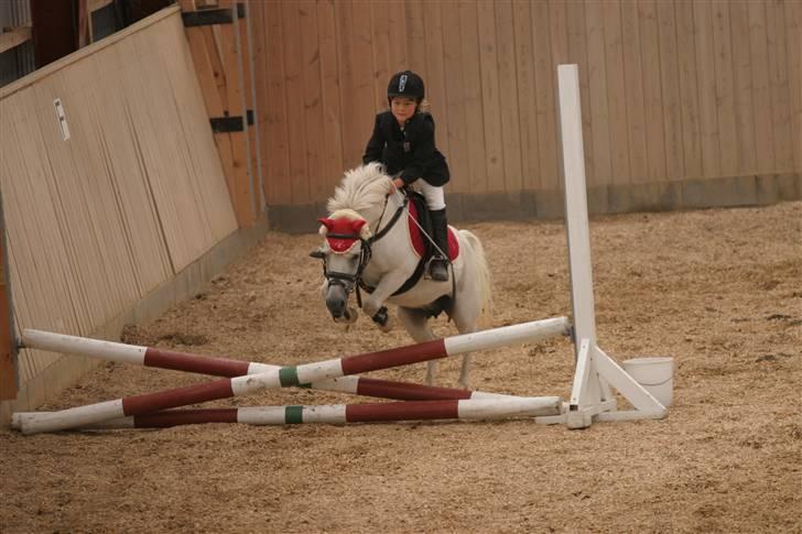 Lucky - Stævne NMRC aug. 2009
Le Spring, som vi vandt billede 15