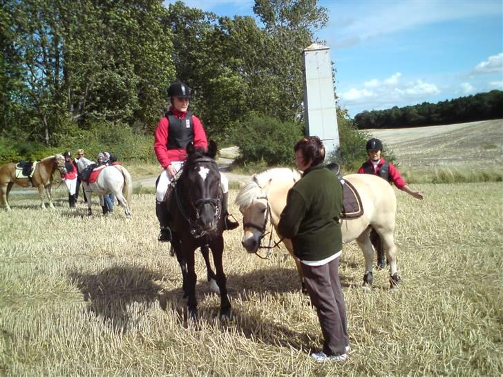 Fjordheste jagt d. 29/8 ved Espe Gods - Såh der lige en lille pause :-) billede 7