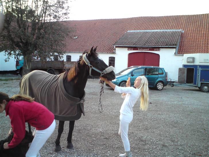 Fjordheste jagt d. 29/8 ved Espe Gods billede 10