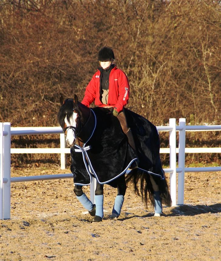 Rambo Velour tæppe billede 4