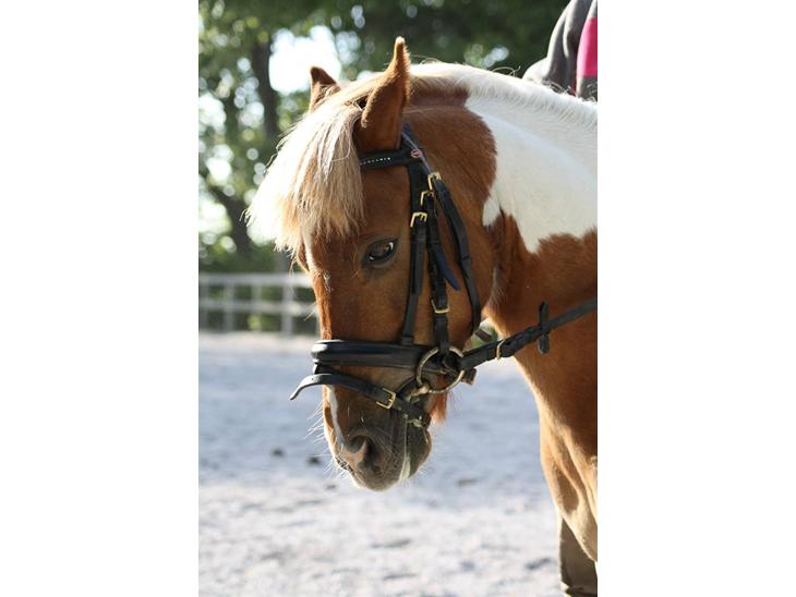 {{currentPhoto.altText}} billede {{currentPhoto.number}}