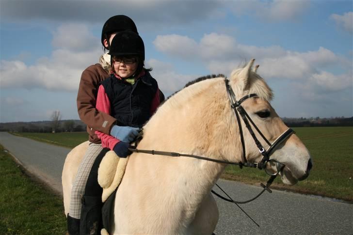 Maja som børnepony. billede 2