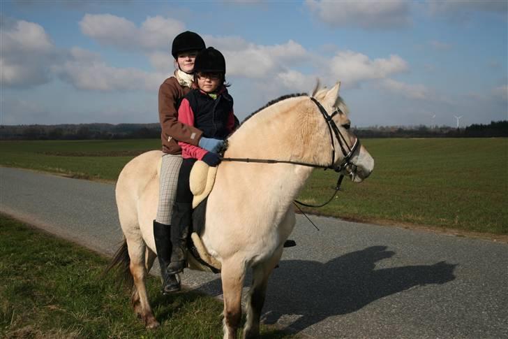Maja som børnepony. billede 3