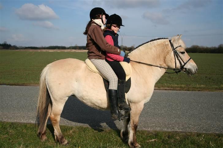 Maja som børnepony. billede 4