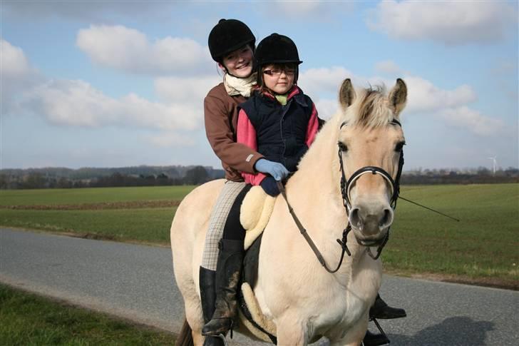 Maja som børnepony. billede 5