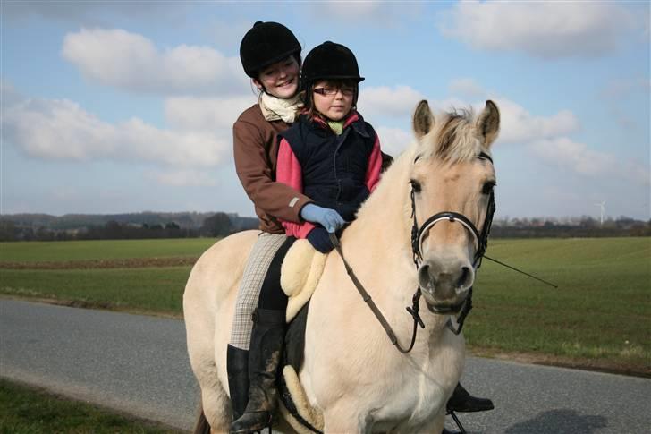 Maja som børnepony. billede 6