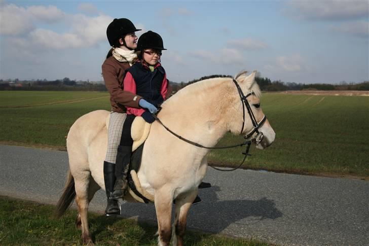 Maja som børnepony. billede 7