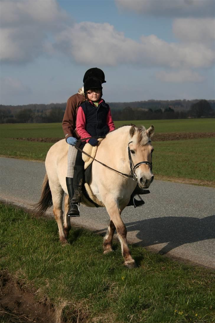 Maja som børnepony. billede 1