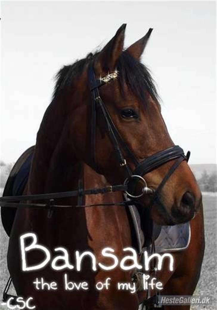  Min tid med Bansam <3 billede 76