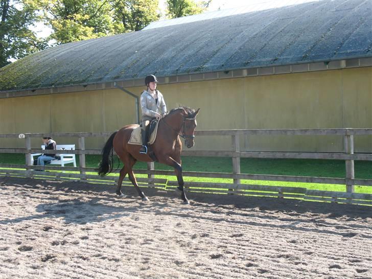  Min tid med Bansam <3 billede 78