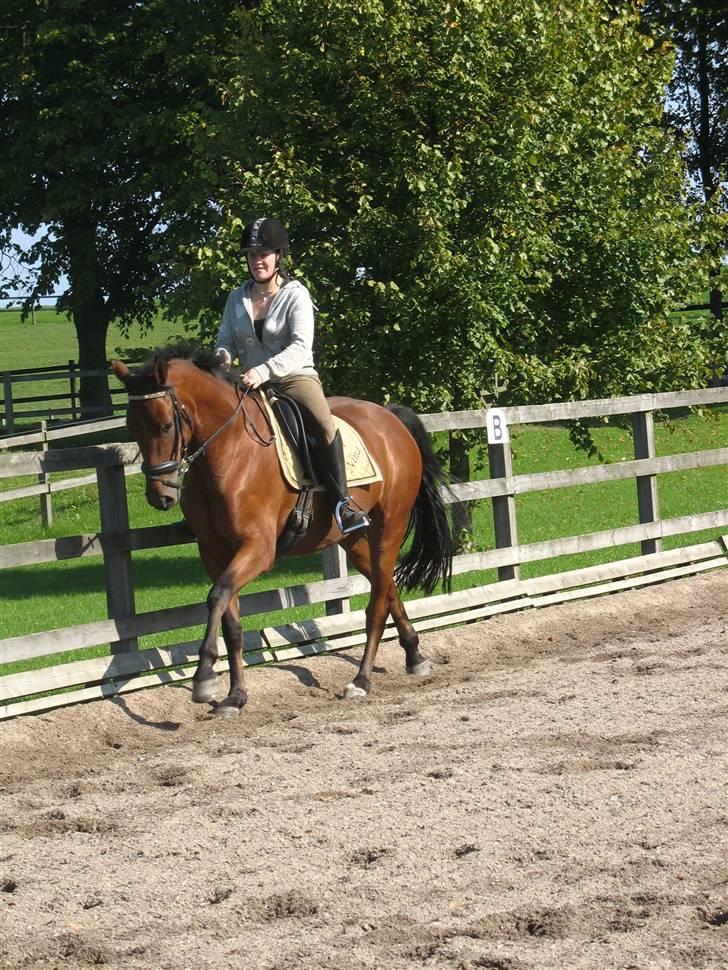  Min tid med Bansam <3 billede 79