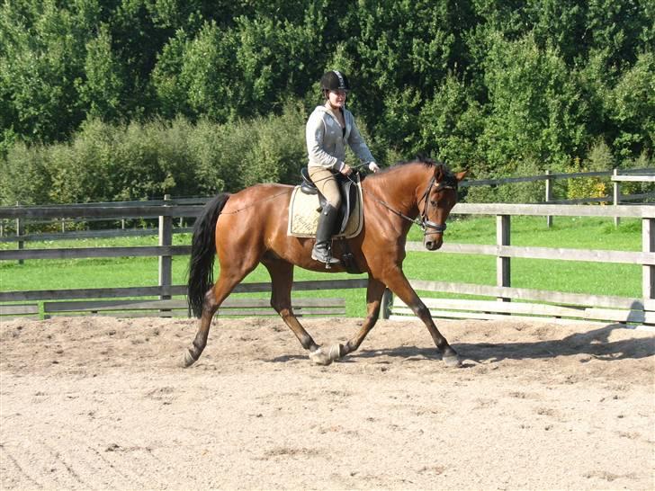  Min tid med Bansam <3 billede 80