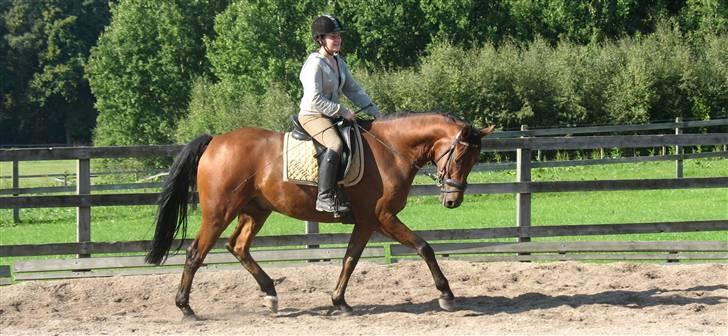  Min tid med Bansam <3 billede 81