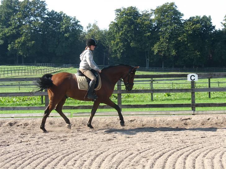  Min tid med Bansam <3 billede 82