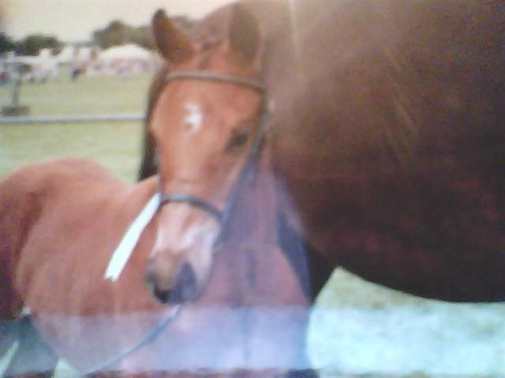  Min tid med Bansam <3 billede 83