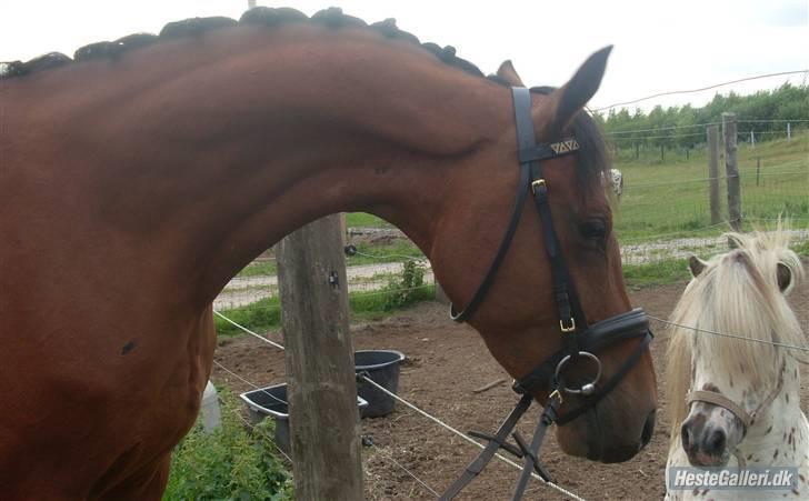  Min tid med Bansam <3 billede 85