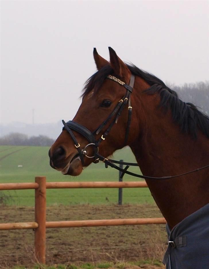  Min tid med Bansam <3 billede 89