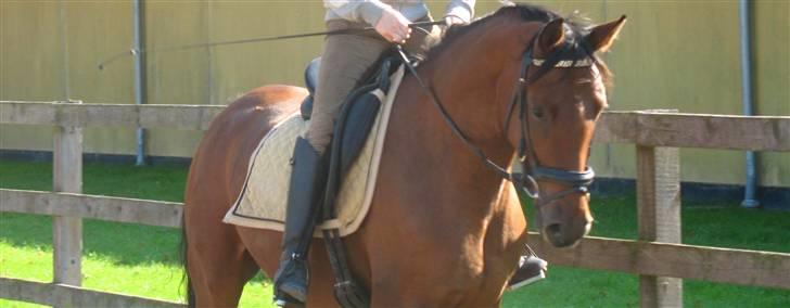  Min tid med Bansam <3 billede 90