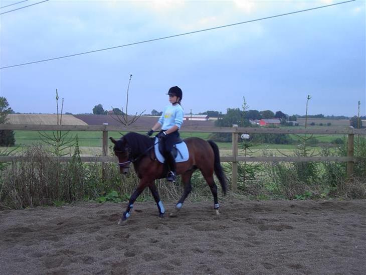 {{currentPhoto.altText}} billede {{currentPhoto.number}}