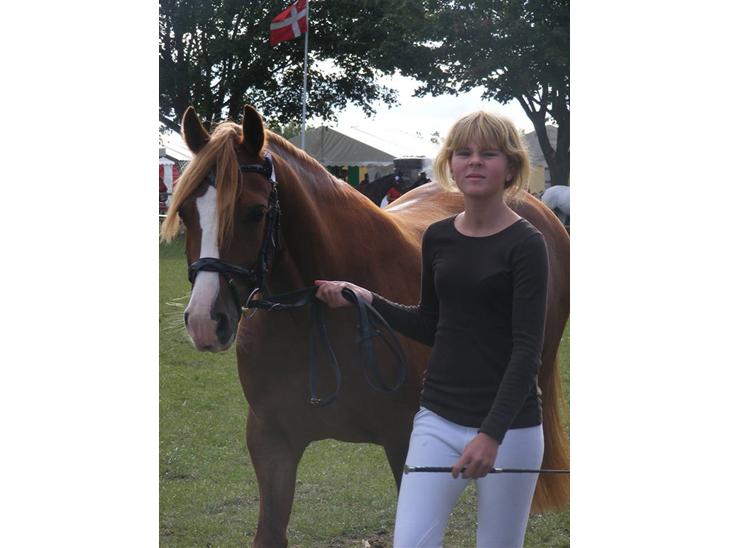 {{currentPhoto.altText}} billede {{currentPhoto.number}}