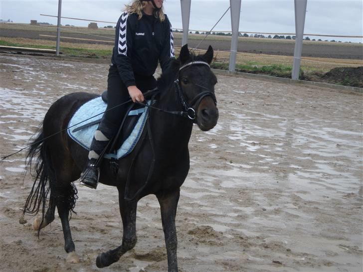 Toftegårdens ridecenter. billede 9