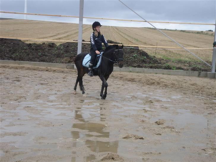 Toftegårdens ridecenter. billede 12