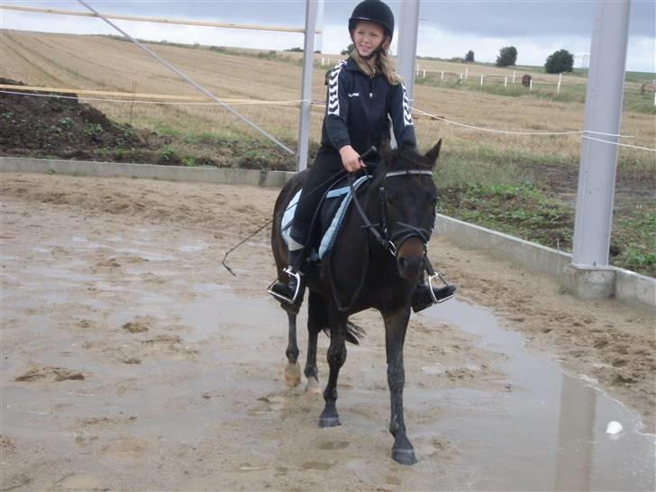 Toftegårdens ridecenter. billede 13