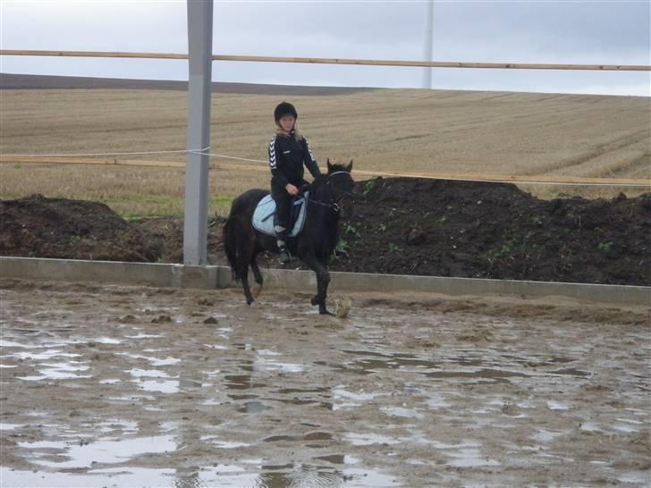 Toftegårdens ridecenter. billede 16