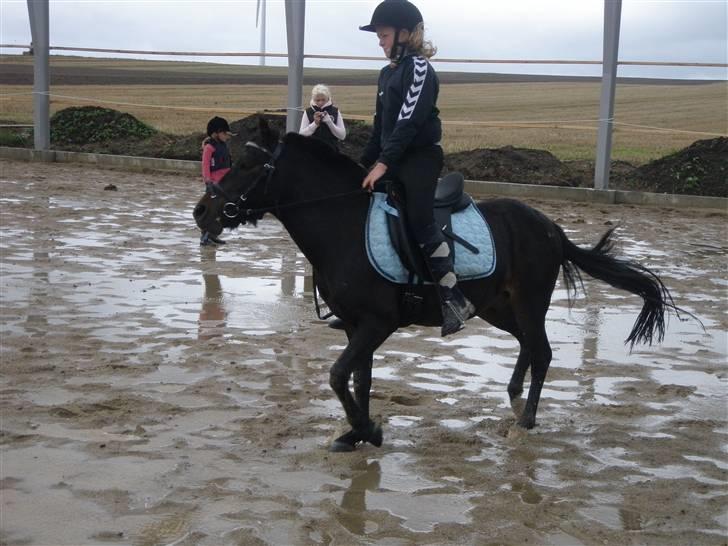 Toftegårdens ridecenter. billede 19