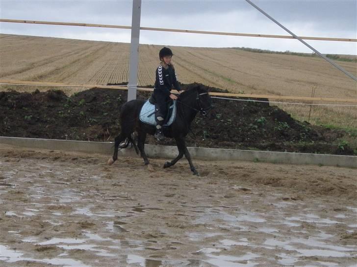 Toftegårdens ridecenter. billede 20