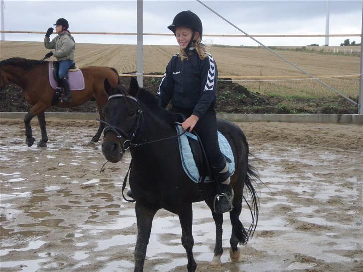 Toftegårdens ridecenter. billede 25