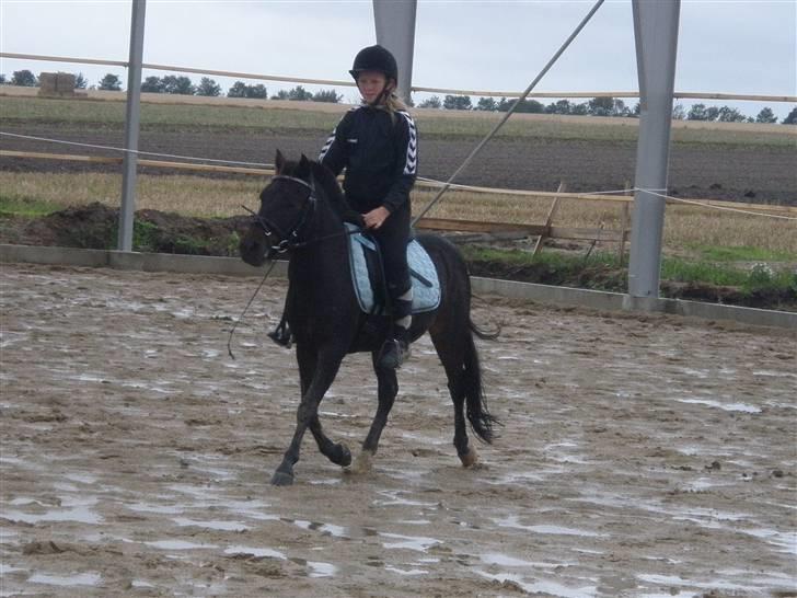 Toftegårdens ridecenter. billede 26