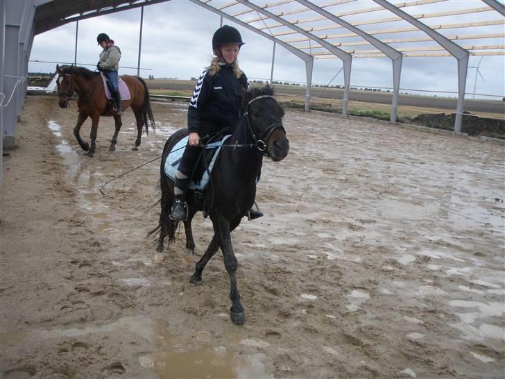 Toftegårdens ridecenter. billede 28