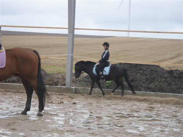 Toftegårdens ridecenter. billede 30