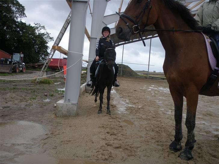 Toftegårdens ridecenter. billede 37