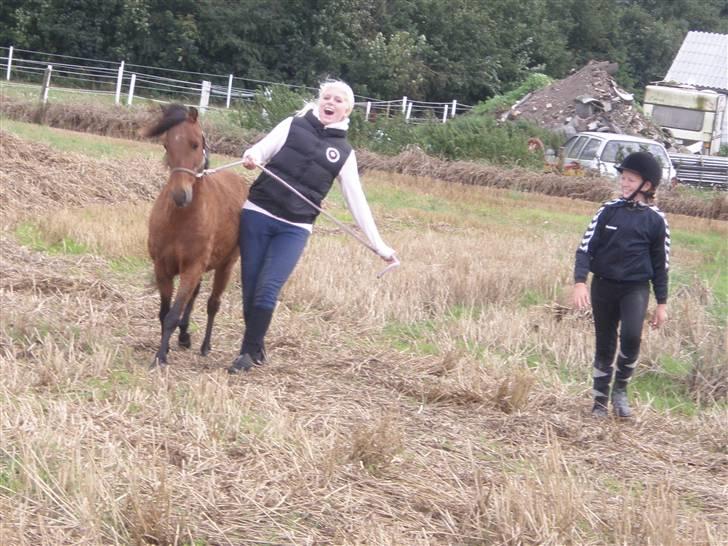 Toftegårdens ridecenter. billede 46
